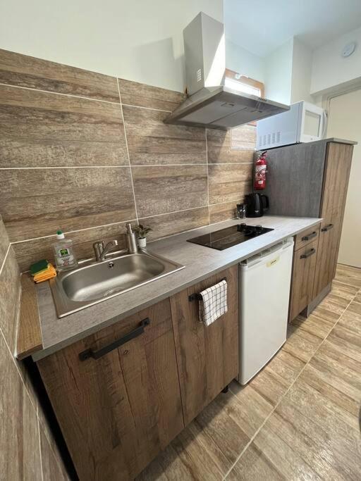 Superbe Appartement A 15 Min De Lyon Saint-Fons Bagian luar foto